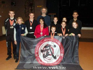 vlaams wushu instituut